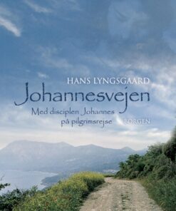 Johannesvejen (E-bog)