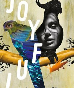 Joyful - Robert Hillman - Bog