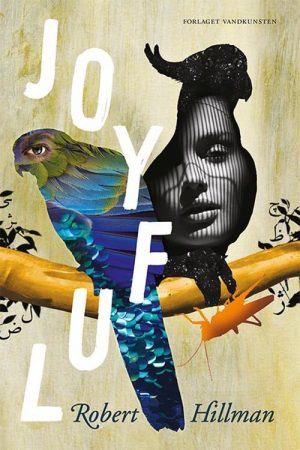 Joyful - Robert Hillman - Bog