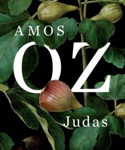Judas - Amos Oz - Bog
