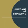 Juledage på Birkelund (Bog)