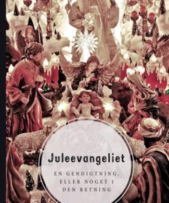 Juleevangeliet - Jakob Brønnum - Bog