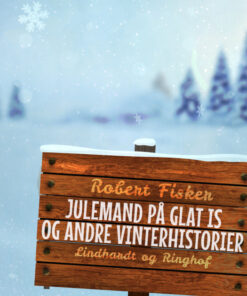 Julemand på glat is og andre historier (E-bog)