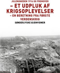 Julemåneden 1916 og fremover - et udpluk af krigsoplevelser (E-bog)
