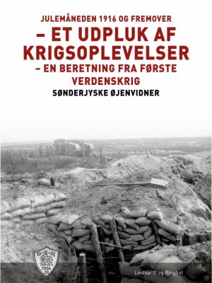 Julemåneden 1916 og fremover - et udpluk af krigsoplevelser (E-bog)