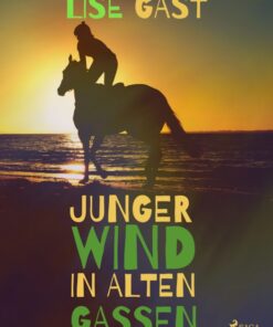 Junger Wind in alten Gassen (E-bog)