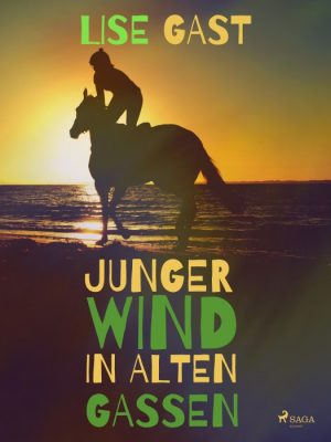 Junger Wind in alten Gassen (E-bog)