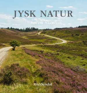 Jysk natur (Bog)