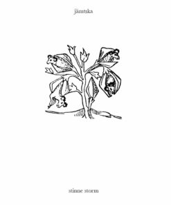 Jämtska - Stinne Storm - Bog