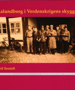 Kalundborg i Verdenskrigens skygge (Bog)