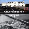 Kalvehavebanen på cykel (Bog)