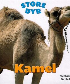 Kamel (E-bog)