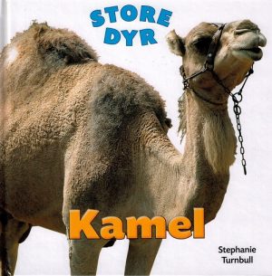 Kamel (E-bog)