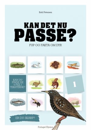 Kan det nu passe? 1 (E-bog)