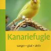 Kanariefugle (Bog)