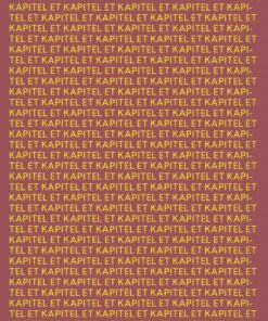 Kapitel Et - Jenny Tunedal - Bog