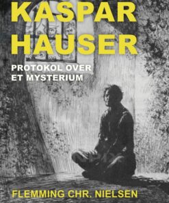 Kaspar Hauser. Protokol over et mysterium (E-bog)