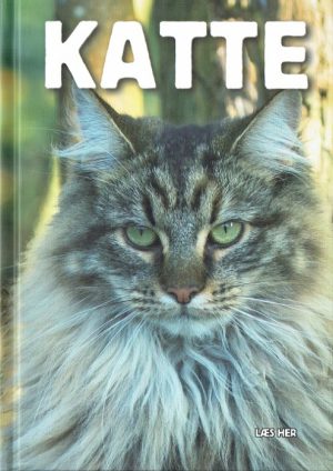 Katte (Bog)