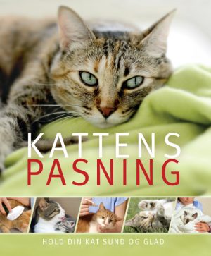 Kattens pasning (Bog)