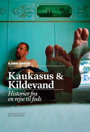 Kaukasus og kildevand (E-bog)