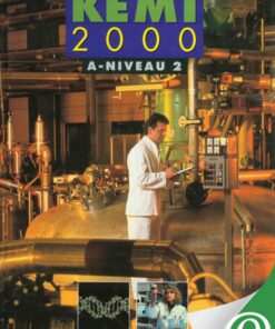 Kemi 2000 A-niveau 2 (E-bog)