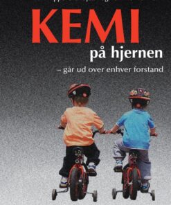 Kemi på hjernen (E-bog)
