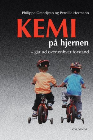 Kemi på hjernen (E-bog)