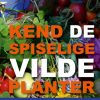 Kend de spiselige vilde planter (Bog)