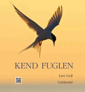 Kend fuglen (Bog)