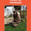 Kender du VIKINGER? (Bog)