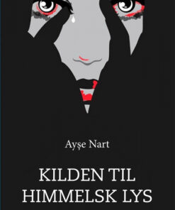 Kilden til himmelsk lys (Bog)