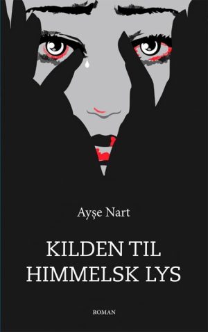 Kilden til himmelsk lys (Bog)
