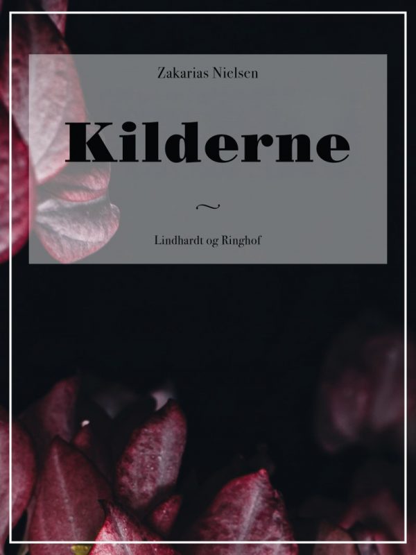 Kilderne - Zakarias Nielsen - Bog