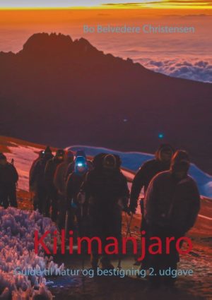 Kilimanjaro (Bog)