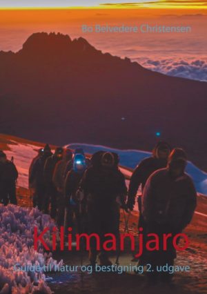 Kilimanjaro (E-bog)