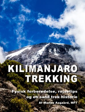 Kilimanjaro trekking (E-bog)