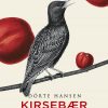 Kirsebærlandet - Dorte Hansen - Bog