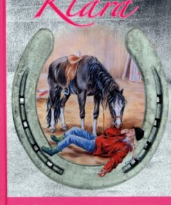 Klaras vintersorg (E-bog)