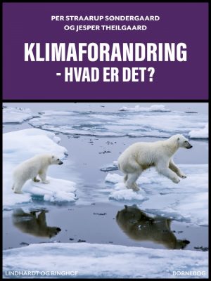 Klimaforandring - hvad er det? (E-bog)