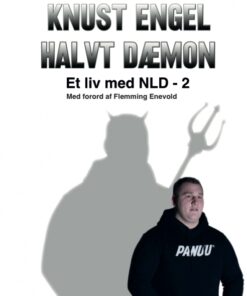 Knust Engel, Halvt Dæmon (Bog)