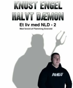 Knust Engel, Halvt Dæmon - Jack Staugaard - Bog