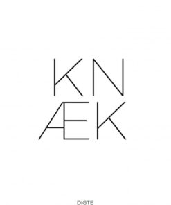 Knæk (E-bog)