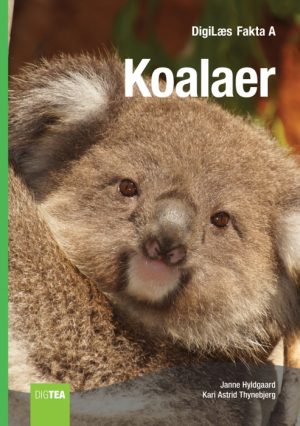 Koalaer (E-bog)