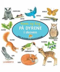 Kom og kig på dyrene i skoven (E-bog)