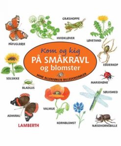 Kom og kig på småkravl og blomster (E-bog)