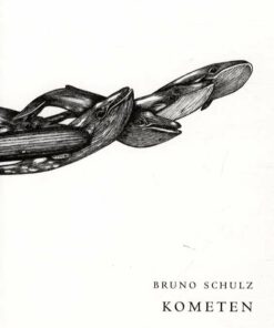 Kometen - Bruno Schulz - Bog