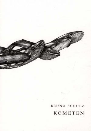 Kometen - Bruno Schulz - Bog