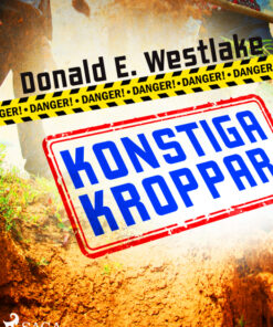 Konstiga kroppar (E-bog)