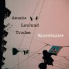 Koordinater - Amalie Laulund Trudsø - Bog