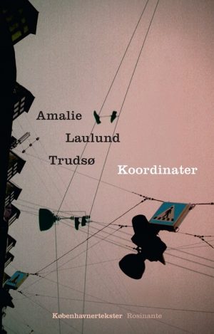 Koordinater - Amalie Laulund Trudsø - Bog